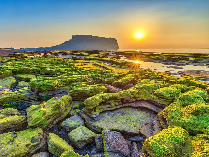 Grün bewachsene Lavafelsen am Strand von Jeju bei Sonnenaufgang mit dem markanten Sunrise Peak Vulkan am Horizont.