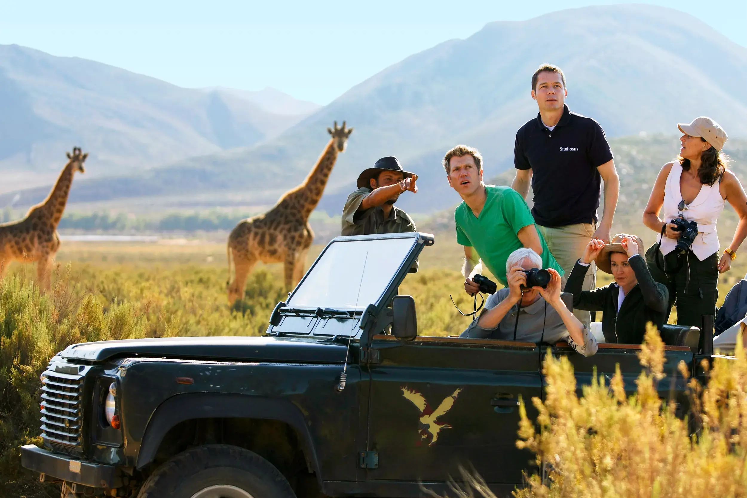 Ein Studiosus-Reiseleiter zeigt seiner Gruppe auf einer Studienreise im Jeep zwei Giraffen in der Savanne Südafrikas.