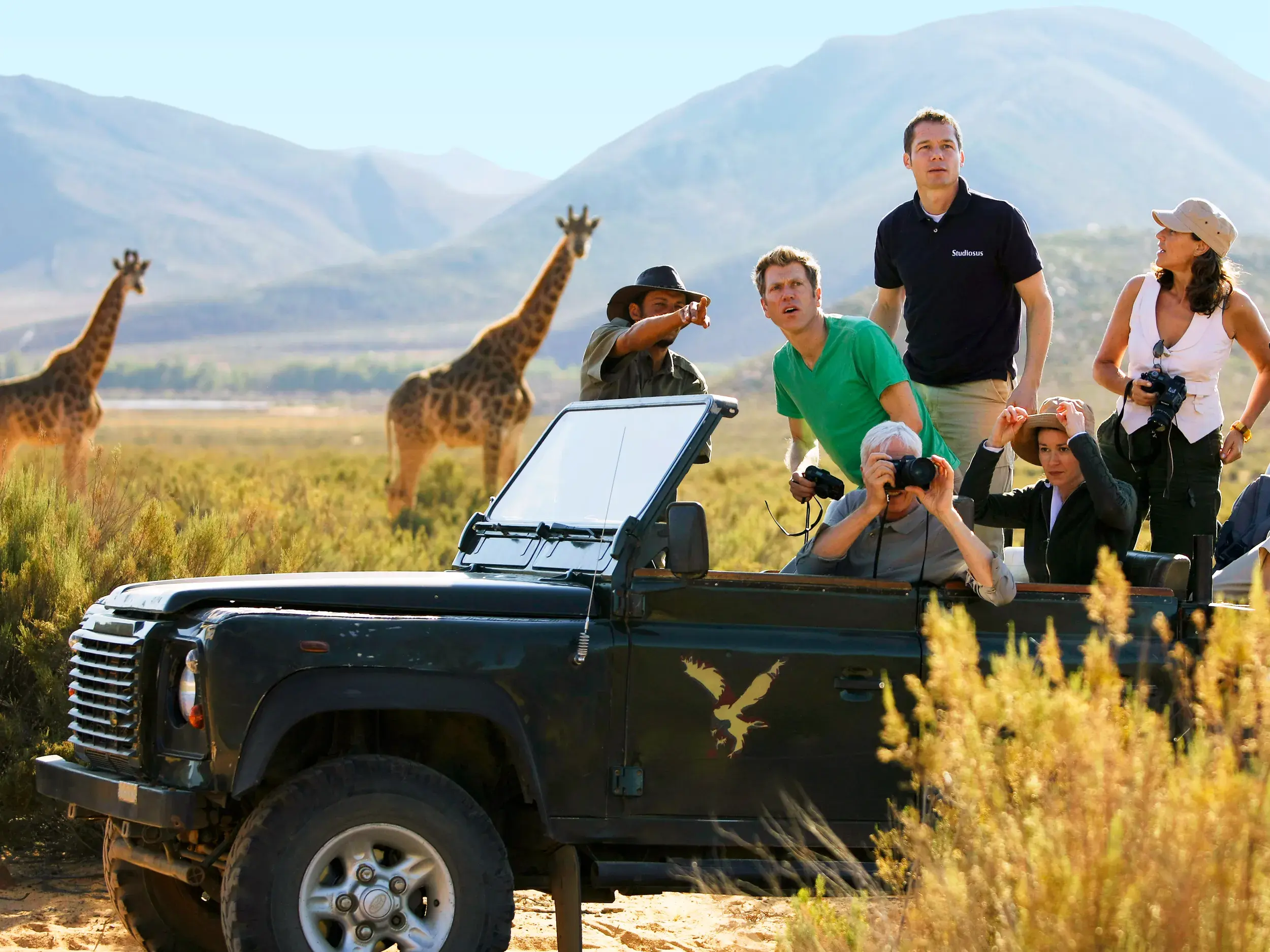 Ein Studiosus-Reiseleiter zeigt seiner Gruppe auf einer Studienreise im Jeep zwei Giraffen in der Savanne Südafrikas.