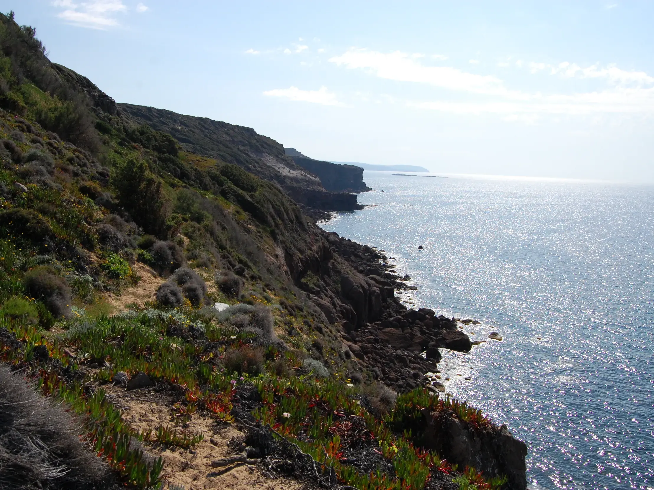 Schmaler Wanderpfad entlang der steilen, grünen Küste Südsardiniens mit Blick auf das glitzernde Mittelmeer bei Sonnenschein.