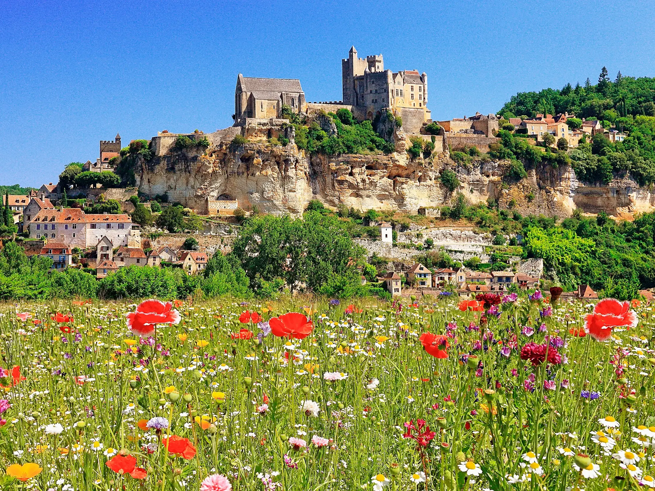 Blick über eine Wiese mit Mohnblumen auf den von einer Burg überragten Ort Beynac im Südwesten Frankreichs.