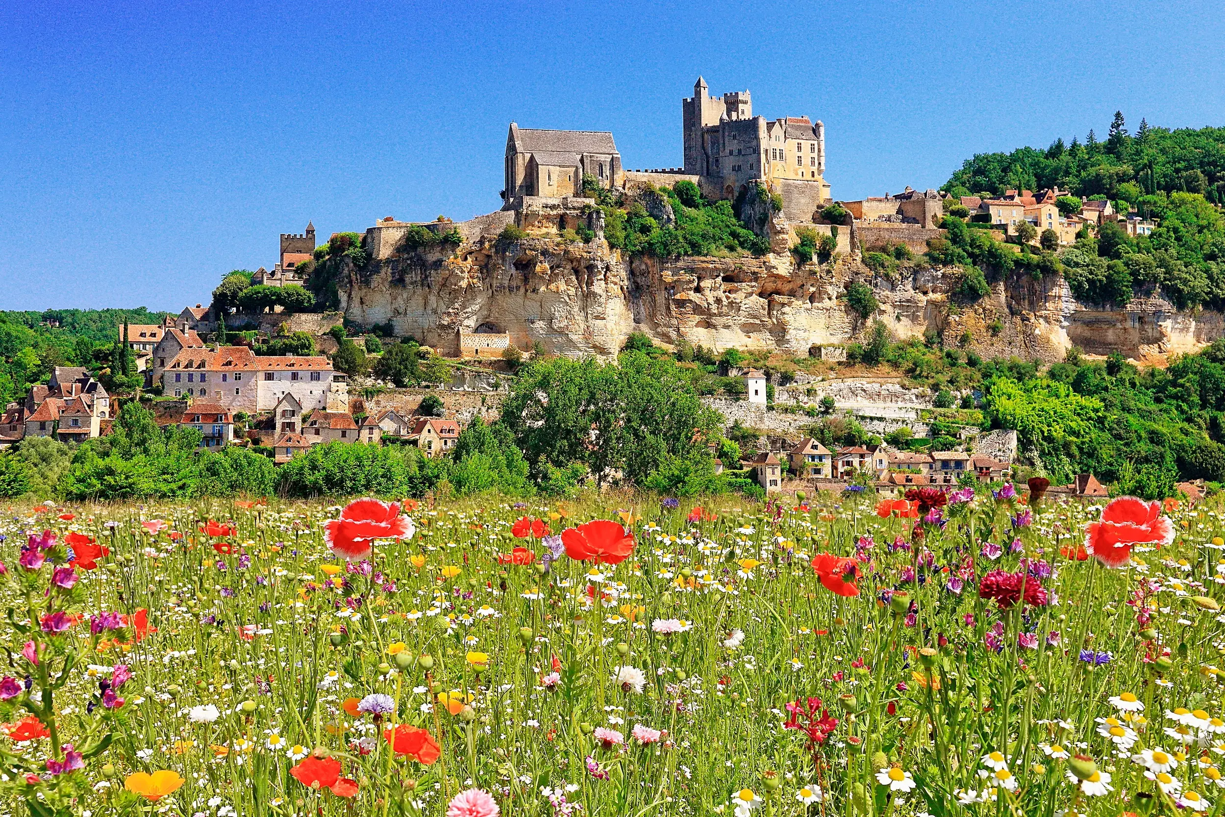 Blick über eine Wiese mit Mohnblumen auf den von einer Burg überragten Ort Beynac im Südwesten Frankreichs.