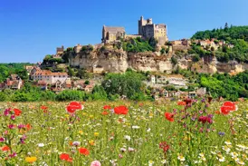 Blick über eine Wiese mit Mohnblumen auf den von einer Burg überragten Ort Beynac im Südwesten Frankreichs.