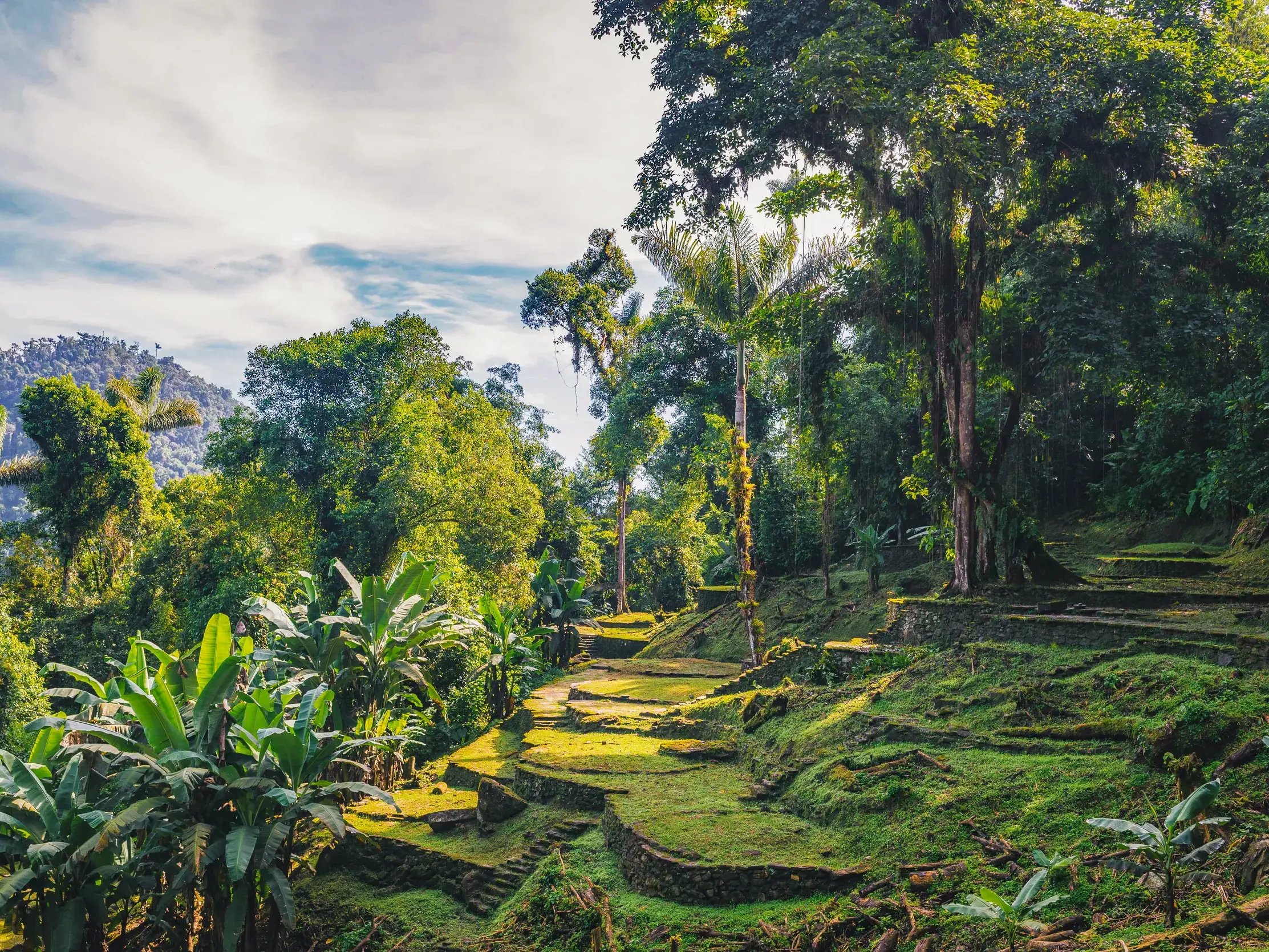 Bemooste Steinstufen der Ruinenstätte Ciudad Perdida, umgeben von dichtem Dschungel in der Sierra Nevada de Santa Marta.