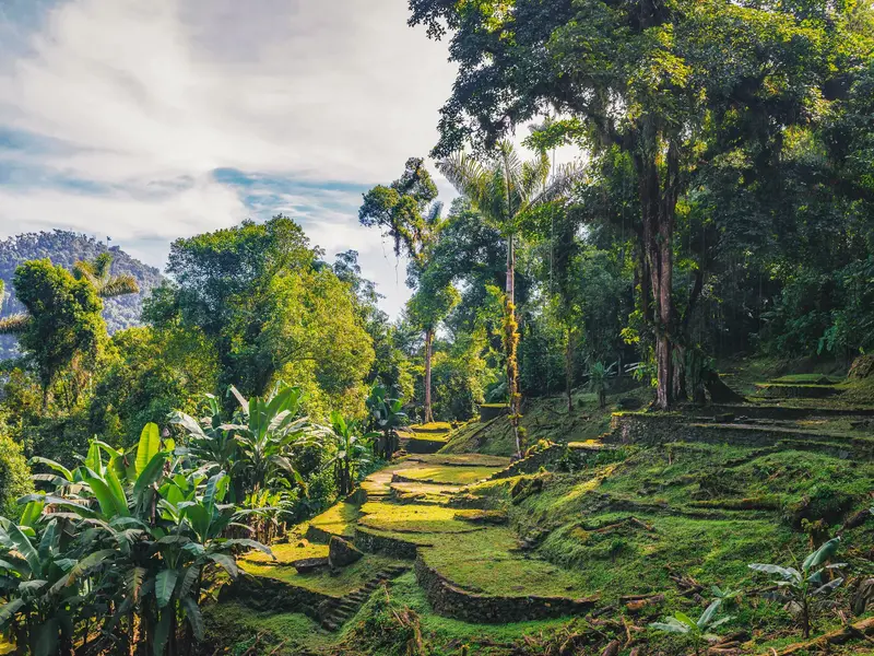 Bemooste Steinstufen der Ruinenstätte Ciudad Perdida, umgeben von dichtem Dschungel in der Sierra Nevada de Santa Marta.