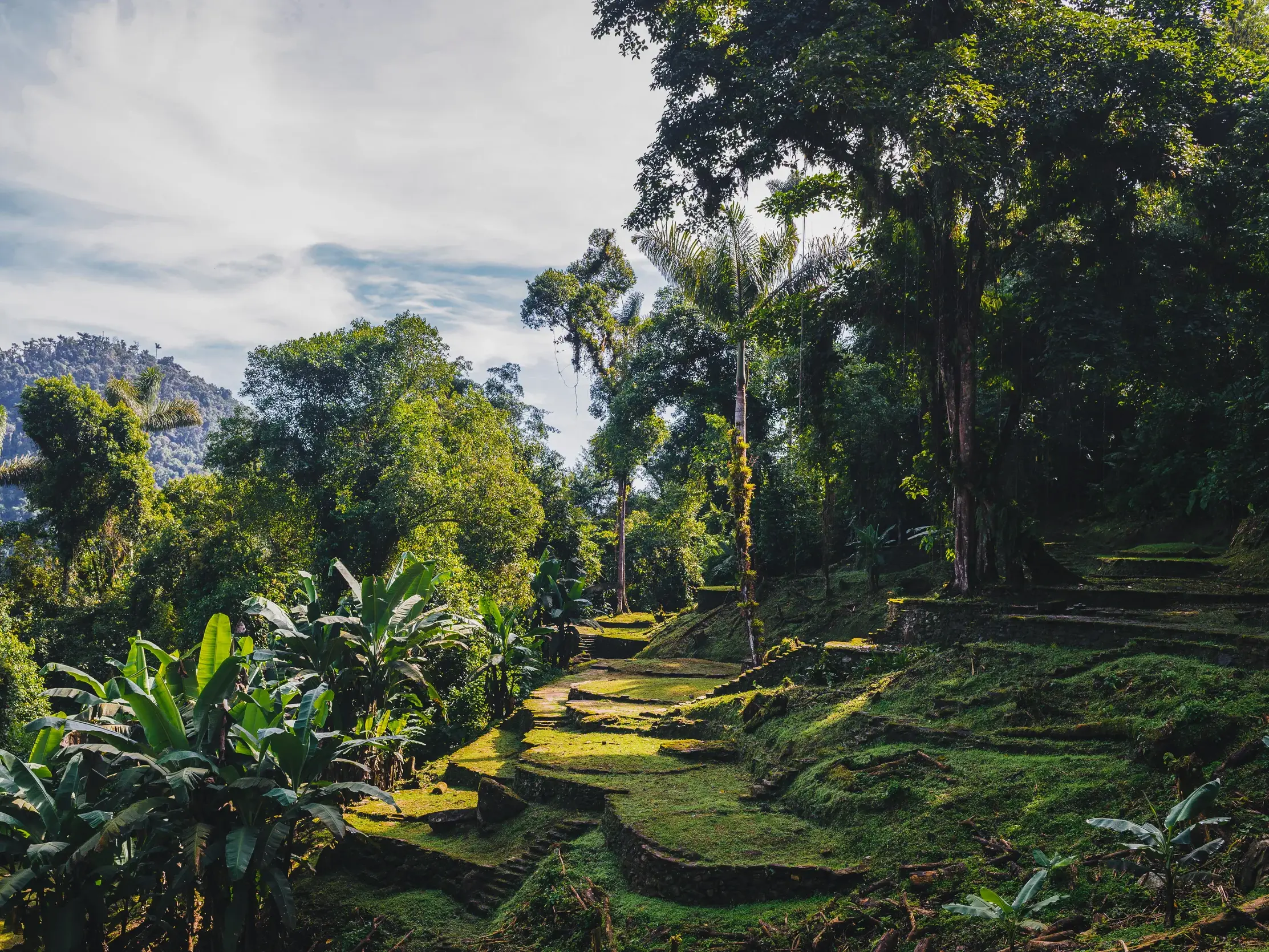 Sonnenstrahlen beleuchten die moosbewachsenen Terrassen und Pfade der Ciudad Perdida im Dschungel der Sierra Nevada de Santa Marta.