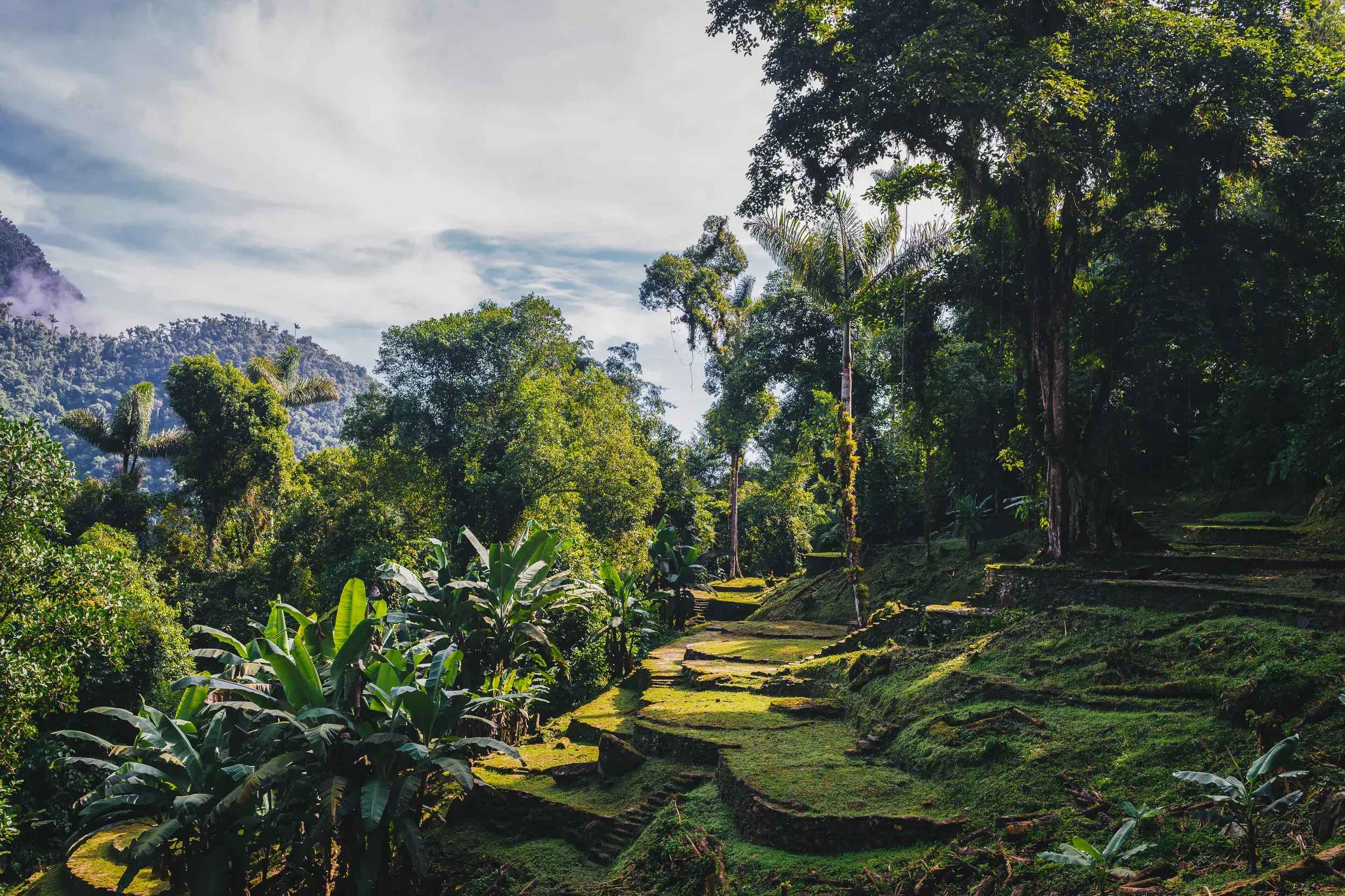 Sonnenstrahlen beleuchten die moosbewachsenen Terrassen und Pfade der Ciudad Perdida im Dschungel der Sierra Nevada de Santa Marta.