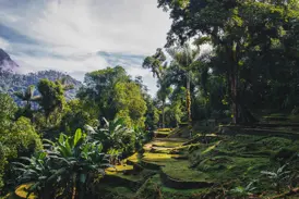 Sonnenstrahlen beleuchten die moosbewachsenen Terrassen und Pfade der Ciudad Perdida im Dschungel der Sierra Nevada de Santa Marta.