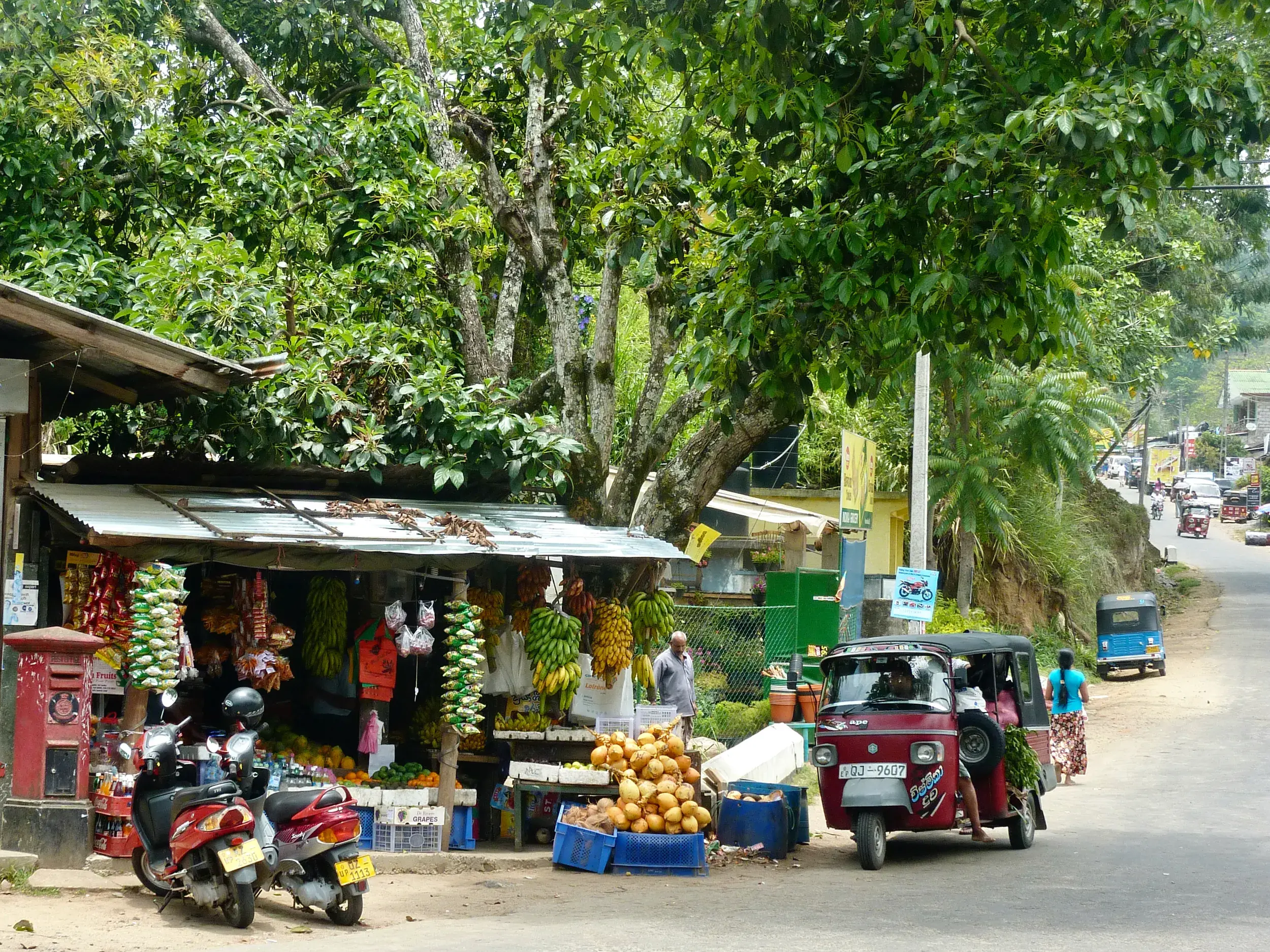 Lebhafte Straßenszene in Sri Lanka mit Einheimischen an einem Obststand und einem roten Tuk-Tuk am Straßenrand.