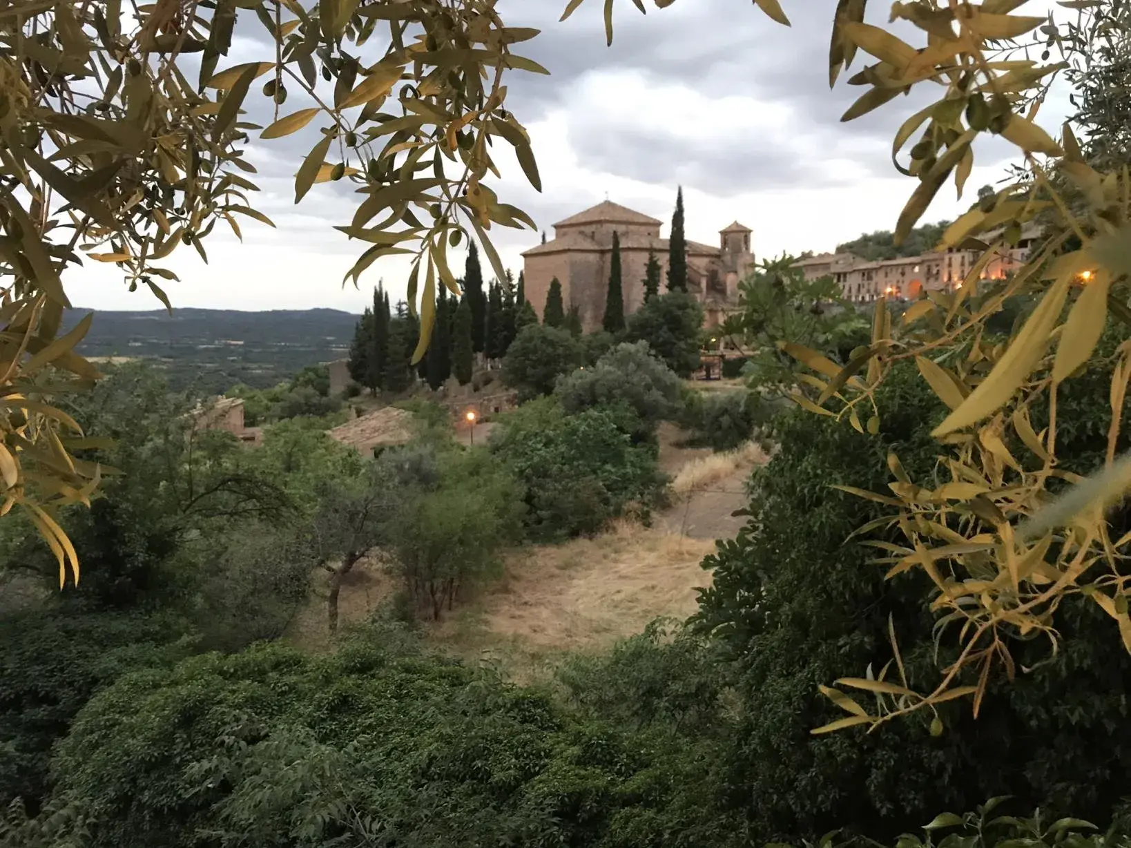 Stimmungsvoller Blick durch Olivenzweige auf das Bergdorf Alquézar in der Sierra de Guara, ein Highlight der Wanderreise.