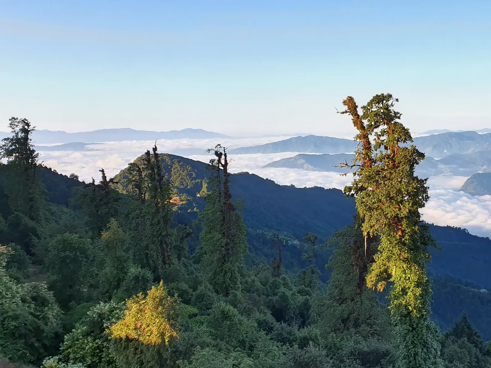Panoramablick beim Trekking in Nepals Helambu-Region über einen Nebelwald und ein Wolkenmeer auf die Bergkette des Jugal Himal.