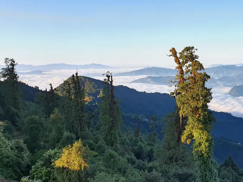 Weite Aussicht vom Helambu Trek über ein Wolkenmeer auf die Bergkette des Jugal Himal bei Sonnenaufgang in Nepal.