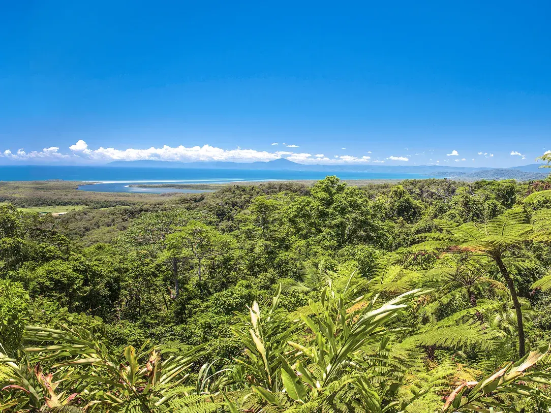 Panoramablick über den tropischen Regenwald von Queensland auf die Küste des Korallenmeers bei Cairns auf einer Studienreise.