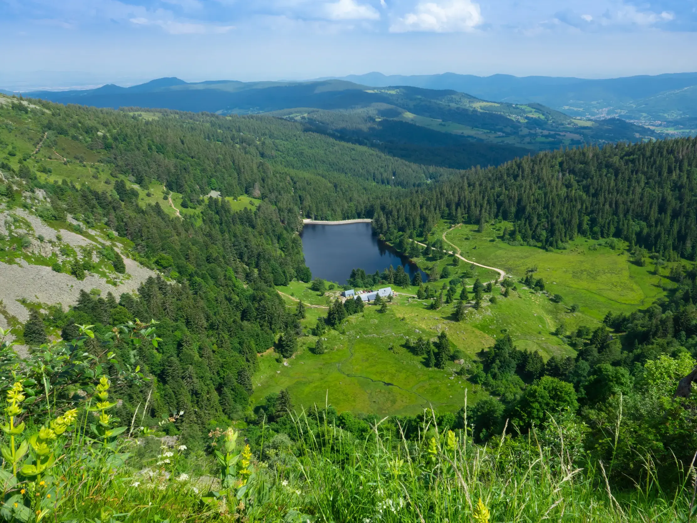 Weite Aussicht beim Wandern in den Vogesen auf den Lac Noir, eingebettet in grüne Wälder und die hügelige Berglandschaft.