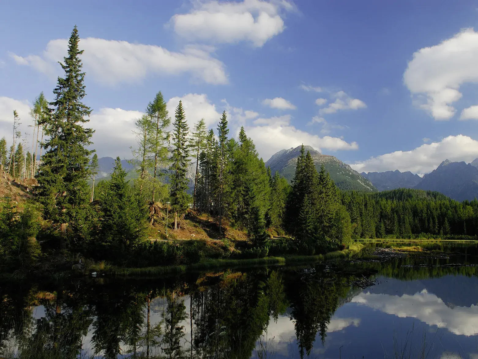 Am Ufer des Strbske Pleso spiegeln sich Nadelbäume und die felsigen Gipfel der Hohen Tatra im klaren Wasser.