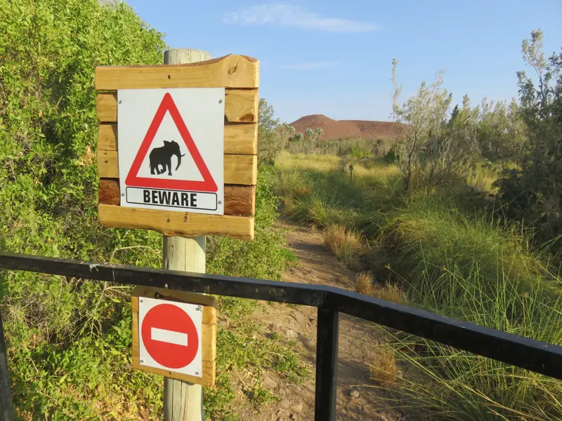 Warnschild mit Elefanten-Symbol und 'Beware'-Aufschrift am Anfang eines Wanderwegs in der Wüstenlandschaft Namibias.