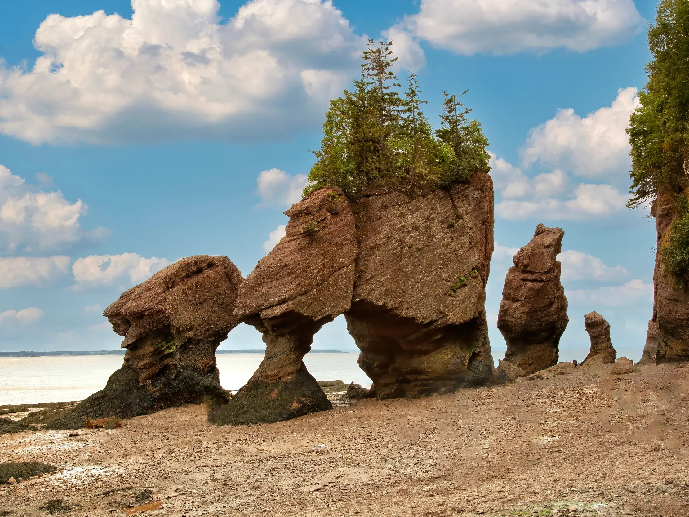 Die beeindruckenden Hopewell Rocks bei Ebbe in der Bay of Fundy, deren freigelegter Meeresboden zu einer Wanderung einlädt.