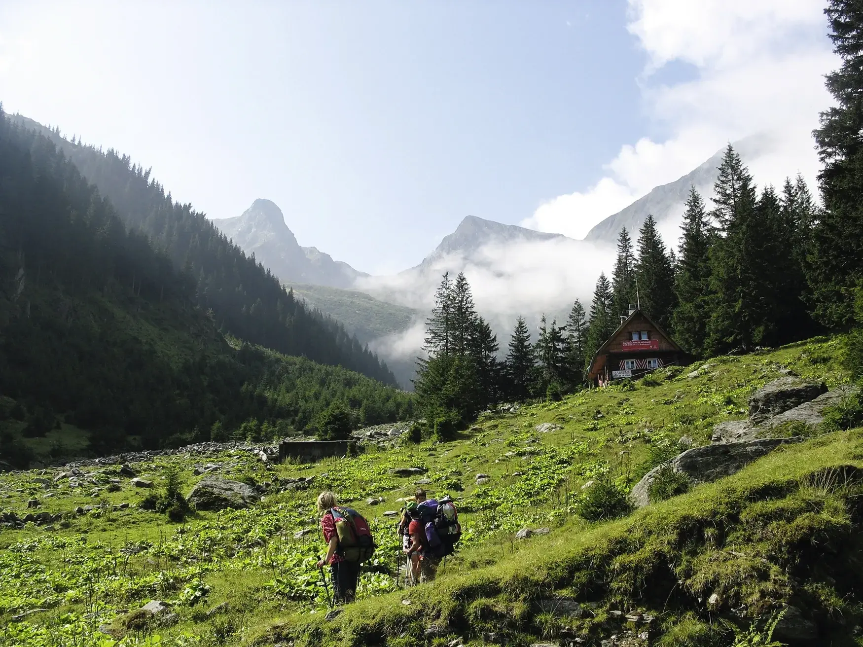 Zwei Wanderer mit Trekking-Ausrüstung steigen über eine grüne Almwiese zur Suru-Hütte im nebligen Fagaras Gebirge auf.