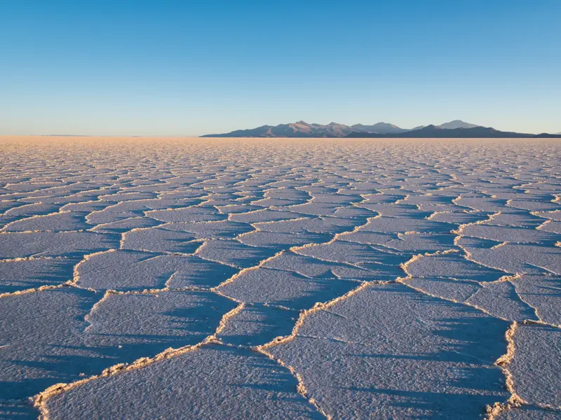 Endlose Weite der Salzwüste Salar de Uyuni mit polygonalen Salzwaben und den Anden Boliviens am Horizont im Morgenlicht.