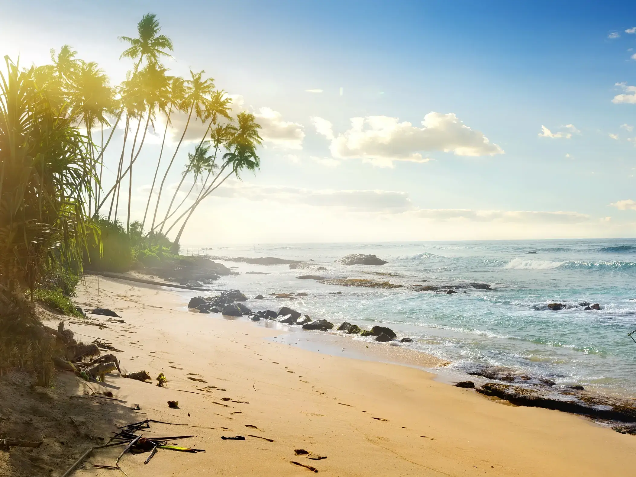 Sonniger Sandstrand in Sri Lanka mit Palmen und den berühmten Stelzenfischern im türkisblauen Indischen Ozean.