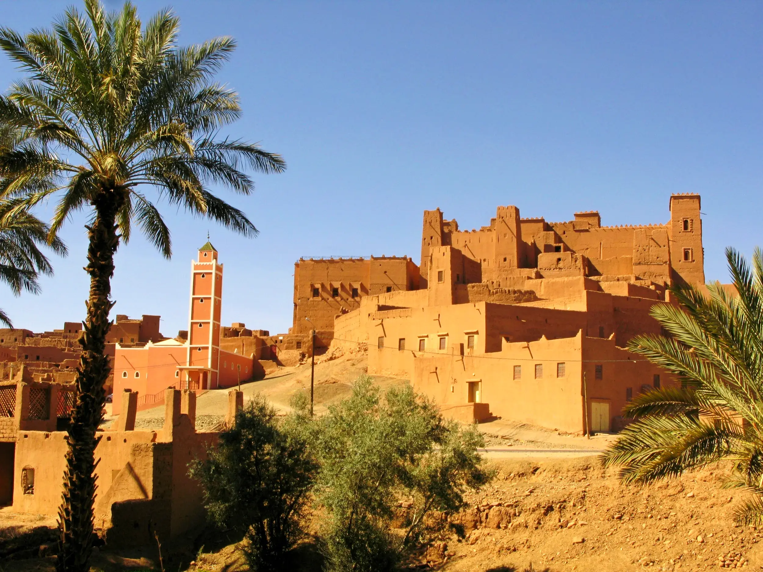 Majestätische Lehmbauten einer Kasbah und Moschee im marokkanischen Dades-Tal, eingerahmt von grünen Palmenwedeln.