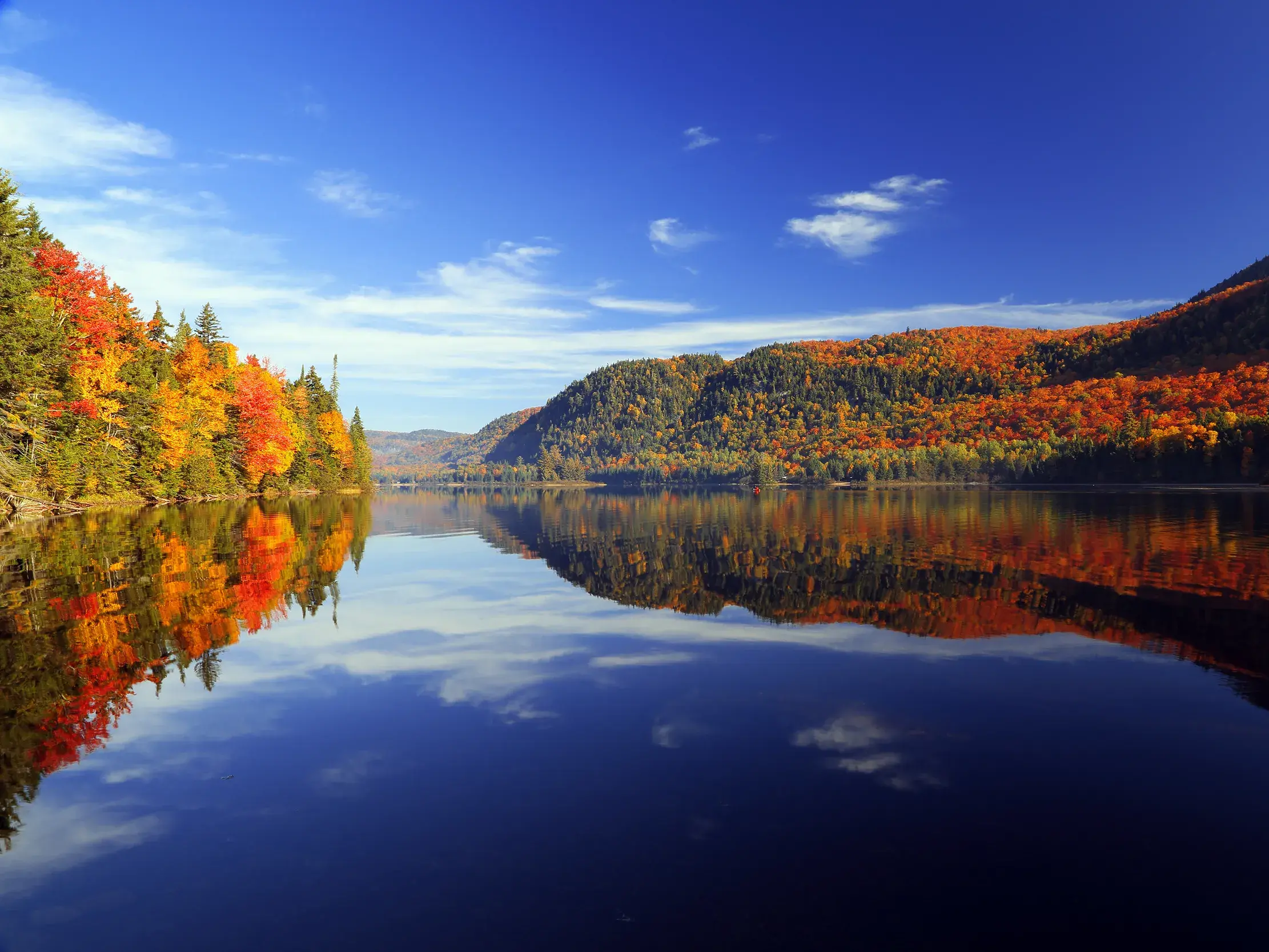 Farbenprächtiger Herbstwald im Indian Summer spiegelt sich im stillen Wasser eines Sees in einem Nationalpark in Québec.