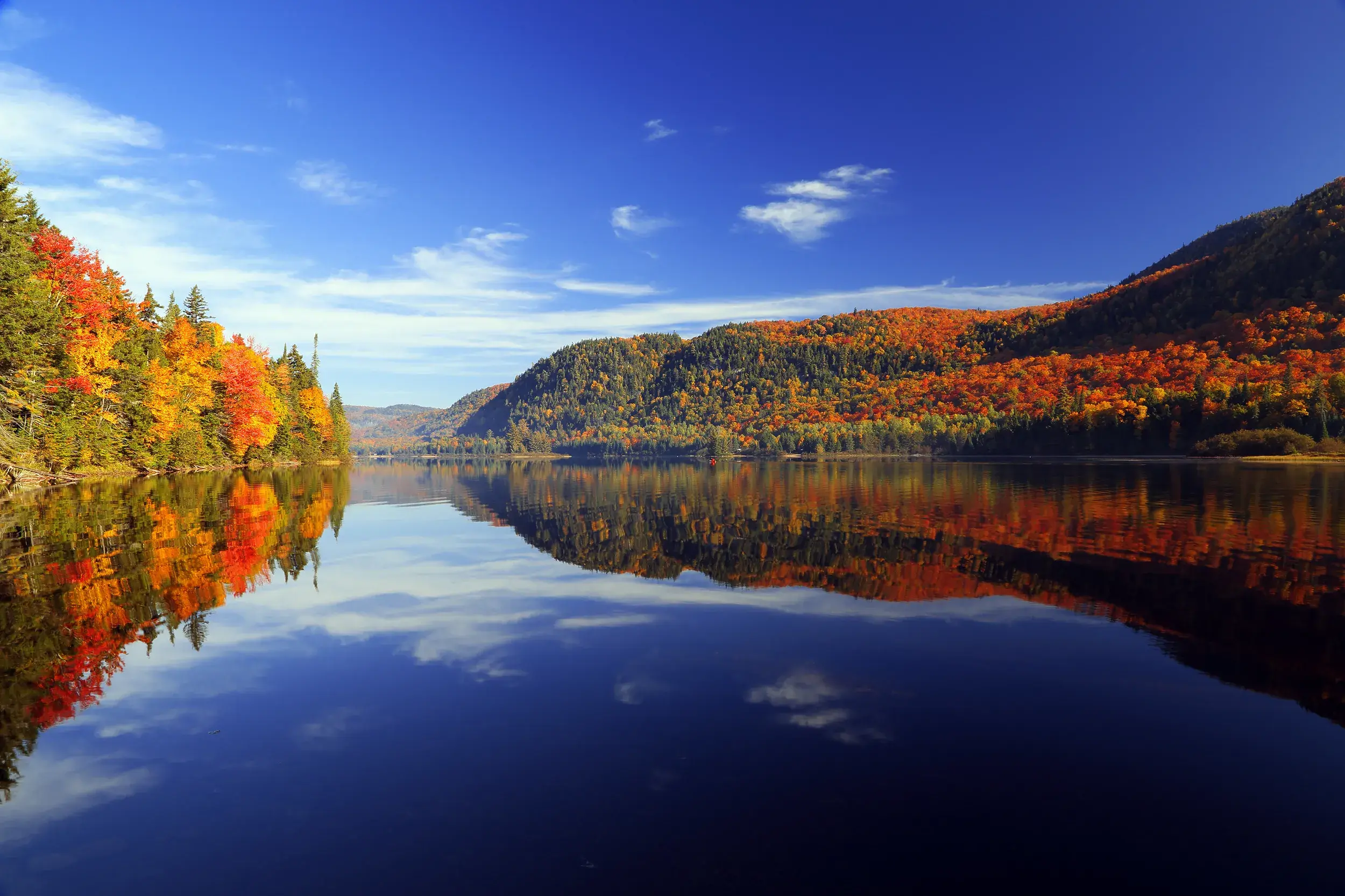 Farbenprächtiger Herbstwald im Indian Summer spiegelt sich im stillen Wasser eines Sees in einem Nationalpark in Québec.