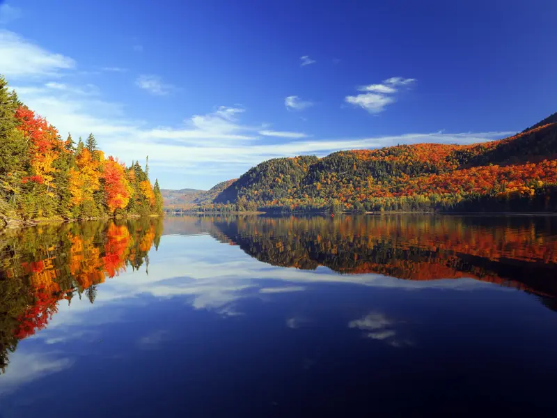 Farbenprächtiger Herbstwald im Indian Summer spiegelt sich im stillen Wasser eines Sees in einem Nationalpark in Québec.