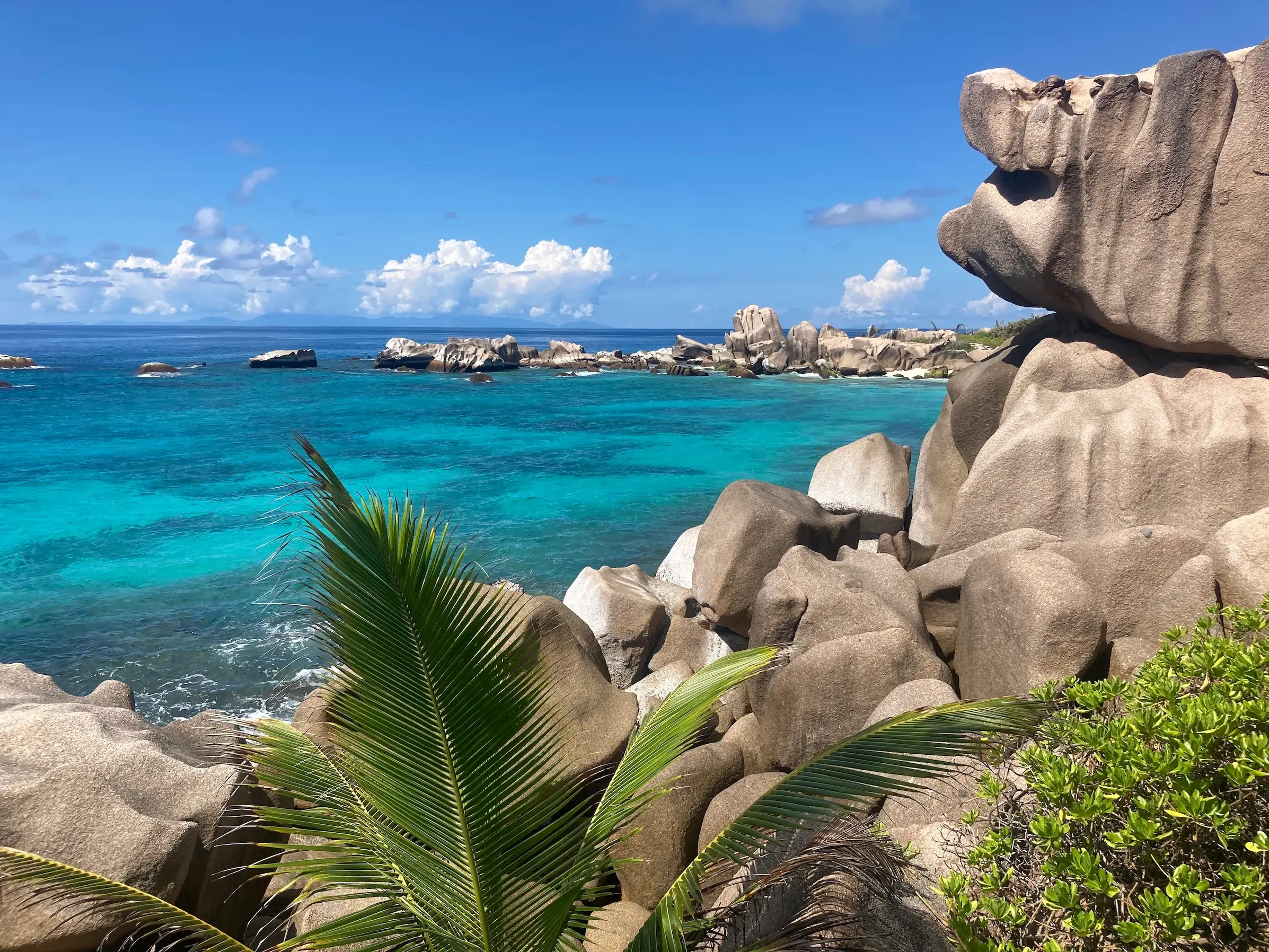 Auf einer Wanderreise auf La Digue: Blick über Palmenwedel auf die typischen Granitfelsen im türkisen Indischen Ozean.