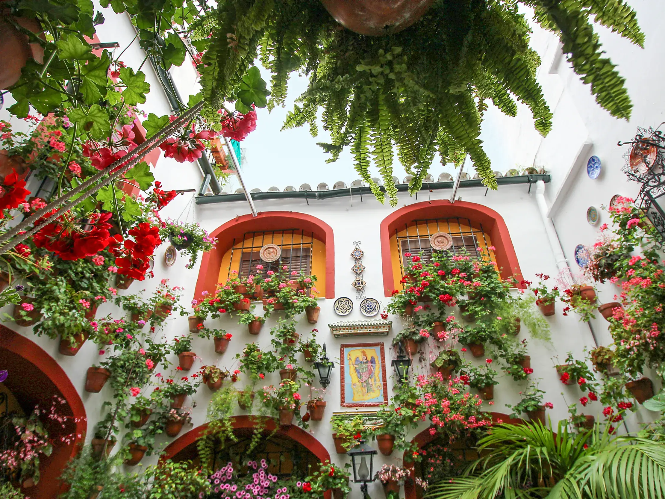Traditioneller andalusischer Patio in Córdoba mit unzähligen roten Geranien in Blumentöpfen an weißen Wänden.