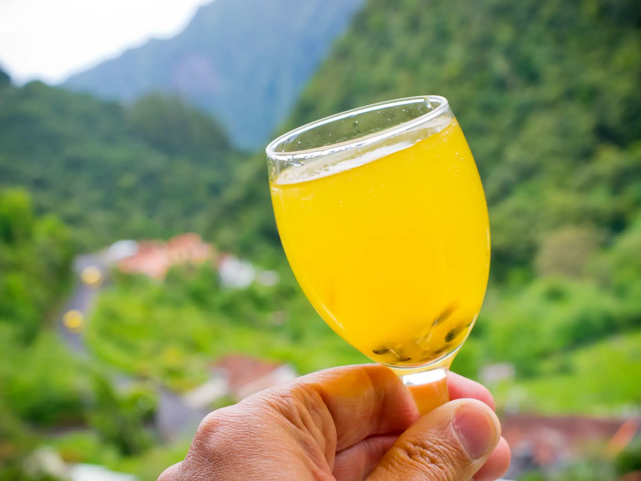 Eine Hand hält ein Glas mit frischer Poncha, dem Nationalgetränk Madeiras, vor einer grünen Berglandschaft.
