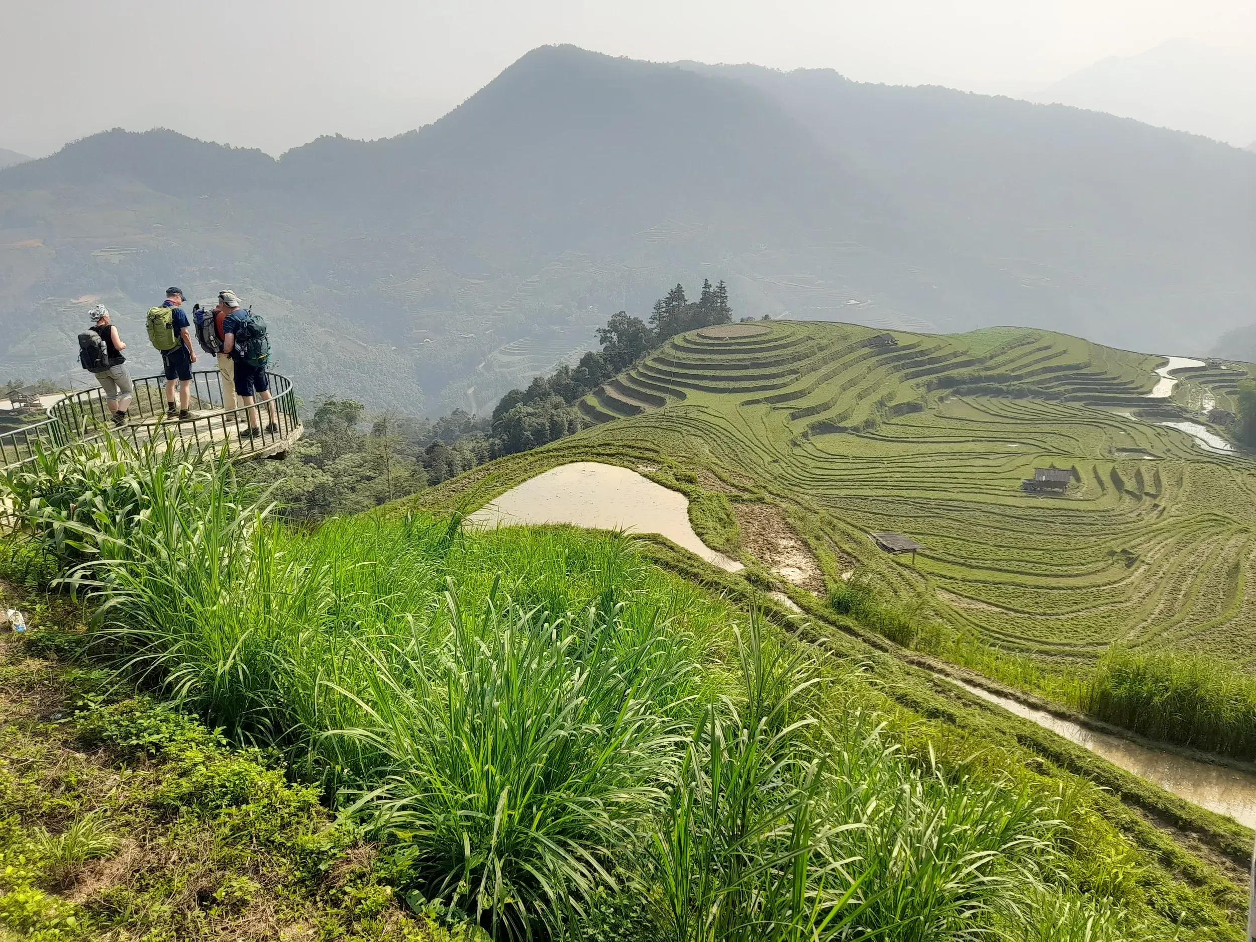 Drei Trekking-Reisende mit Rucksäcken auf einer Aussichtsplattform blicken über die weiten, grünen Reisterrassen in Nordvietnam.