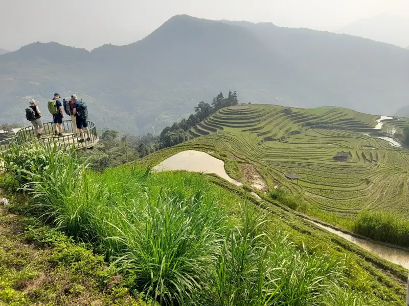 Drei Trekking-Reisende mit Rucksäcken auf einer Aussichtsplattform blicken über die weiten, grünen Reisterrassen in Nordvietnam.