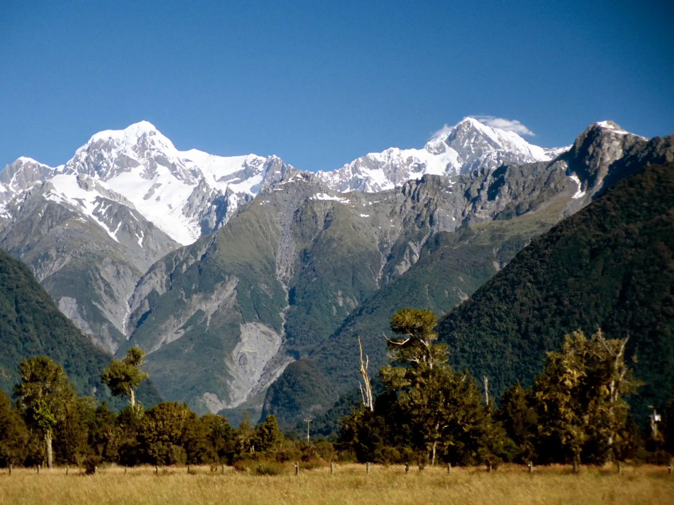 Grüne Wälder und eine Wiese im Vordergrund vor den schneebedeckten Gipfeln des Mount Cook Massivs in Neuseeland.