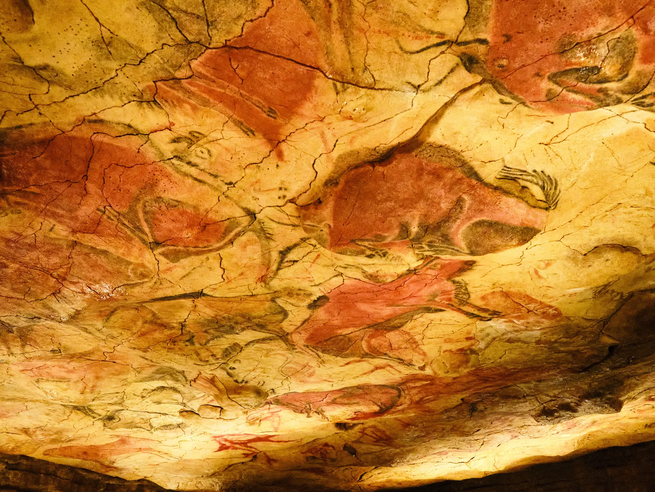 Prähistorische Deckenmalereien mit dem berühmten Bison in der Nachbildung der Höhle von Altamira, UNESCO-Welterbe.