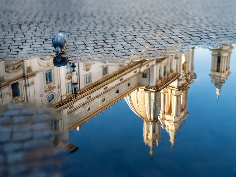 Eine Taube trinkt aus einer Pfütze auf der Piazza Navona in Rom, die die barocke Kuppel der Kirche Sant'Agnese reflektiert.