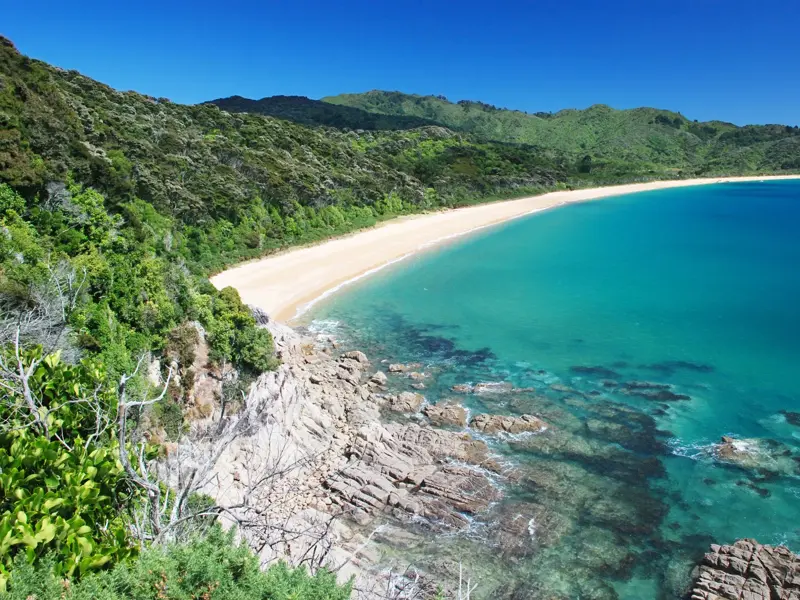 Blick von einem Wanderweg auf einen goldenen Sandstrand und das türkisfarbene Meer im Abel Tasman Nationalpark in Neuseeland.