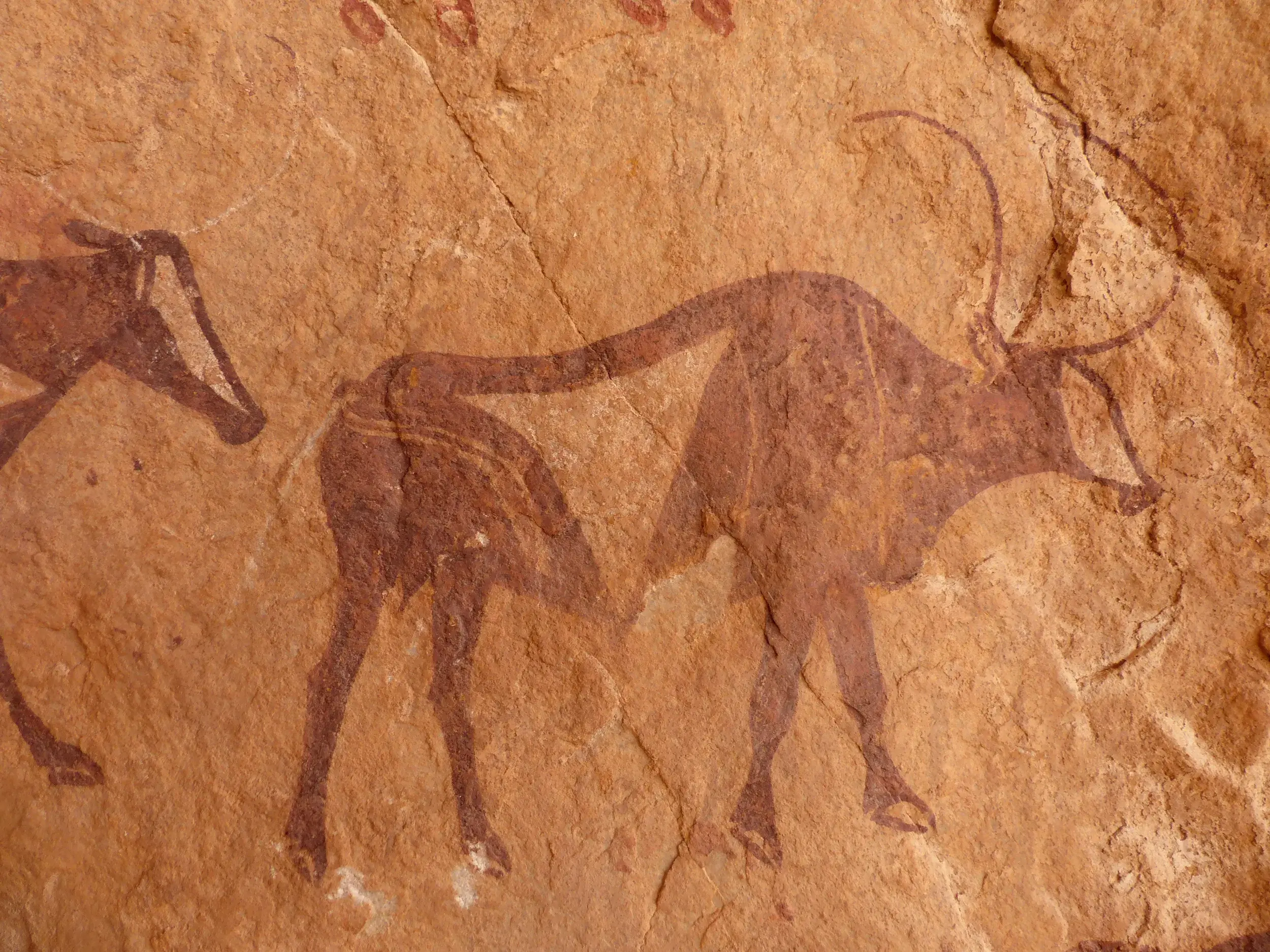 Nahaufnahme einer prähistorischen Felsmalerei von Antilopen an einer Sandsteinwand im Tassili n'Ajjer Nationalpark, Algerien.